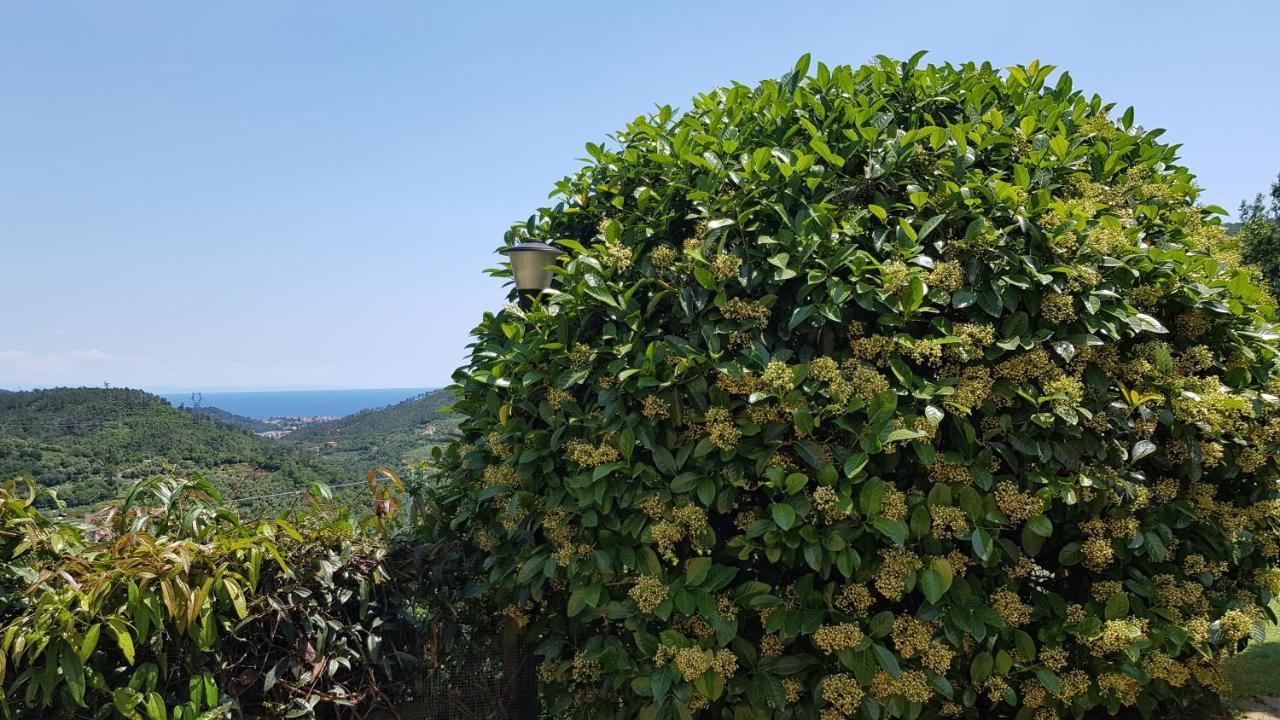Quiliano Villa Claudia מראה חיצוני תמונה