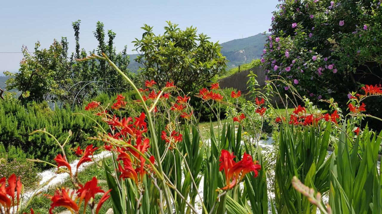 Quiliano Villa Claudia מראה חיצוני תמונה